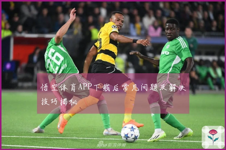 悟空体育APP下载后常见问题及解决技巧揭秘